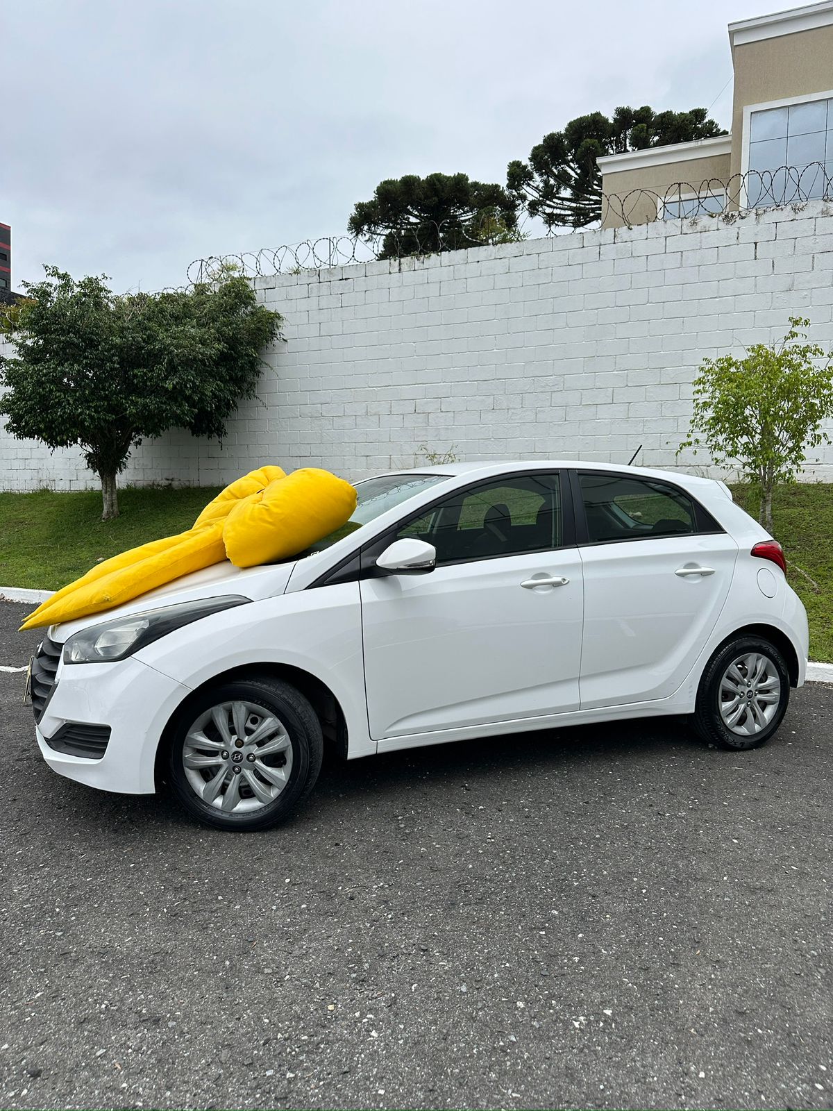 WhatsApp Image 2026-02-25 at 15.12.06