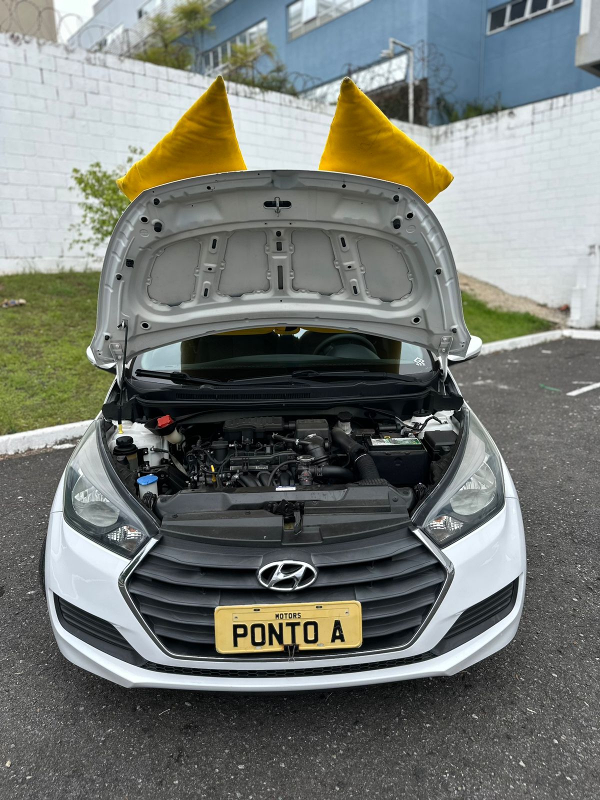 WhatsApp Image 2026-02-25 at 15.12.08