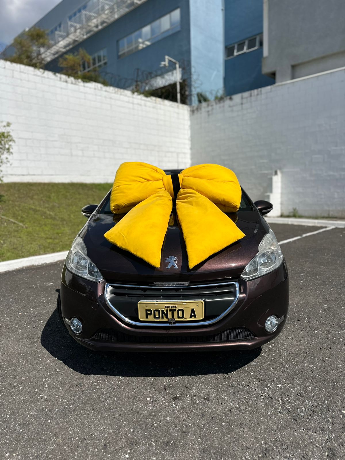 WhatsApp Image 2026-03-17 at 14.51.09 (1)