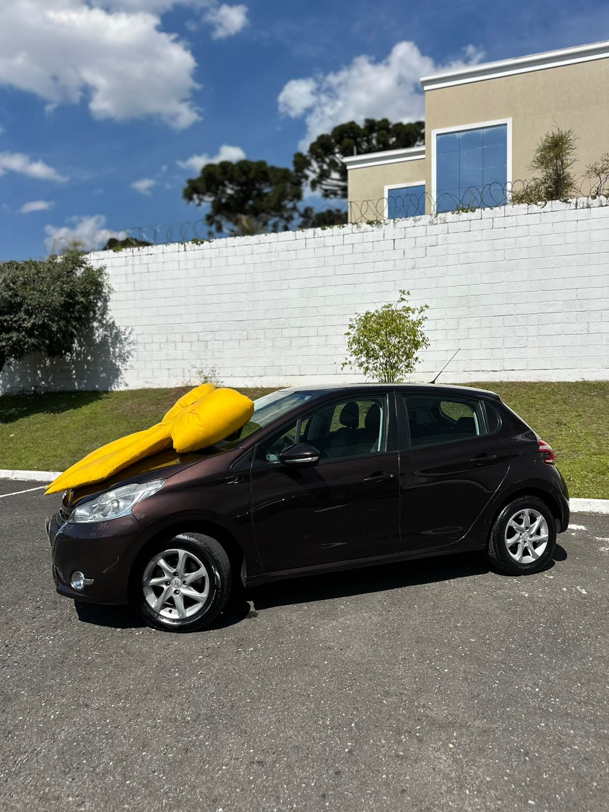 WhatsApp Image 2026-03-17 at 14.51.09 (2)