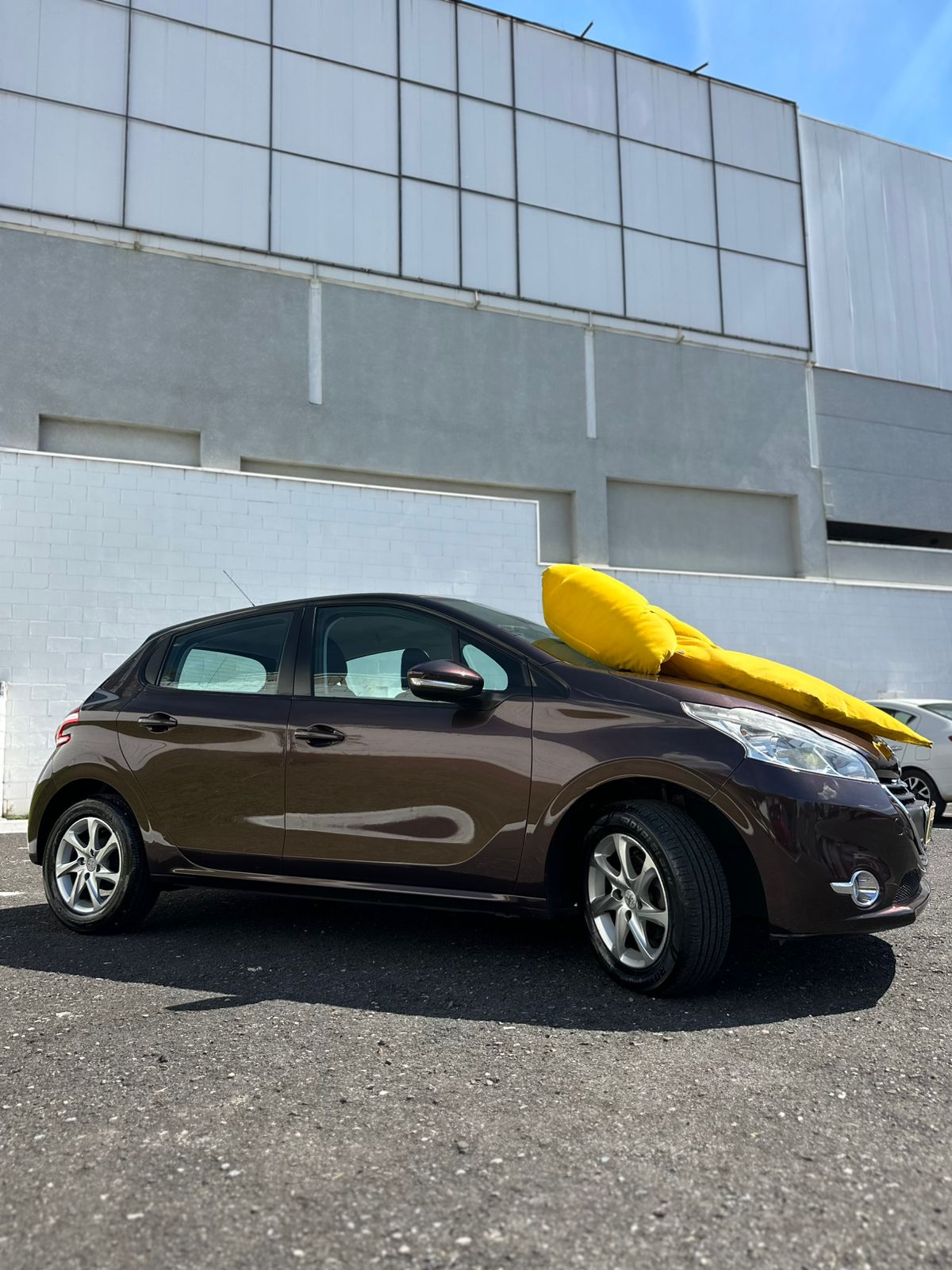 WhatsApp Image 2026-03-17 at 14.51.10 (1)